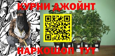 герыч Бийск