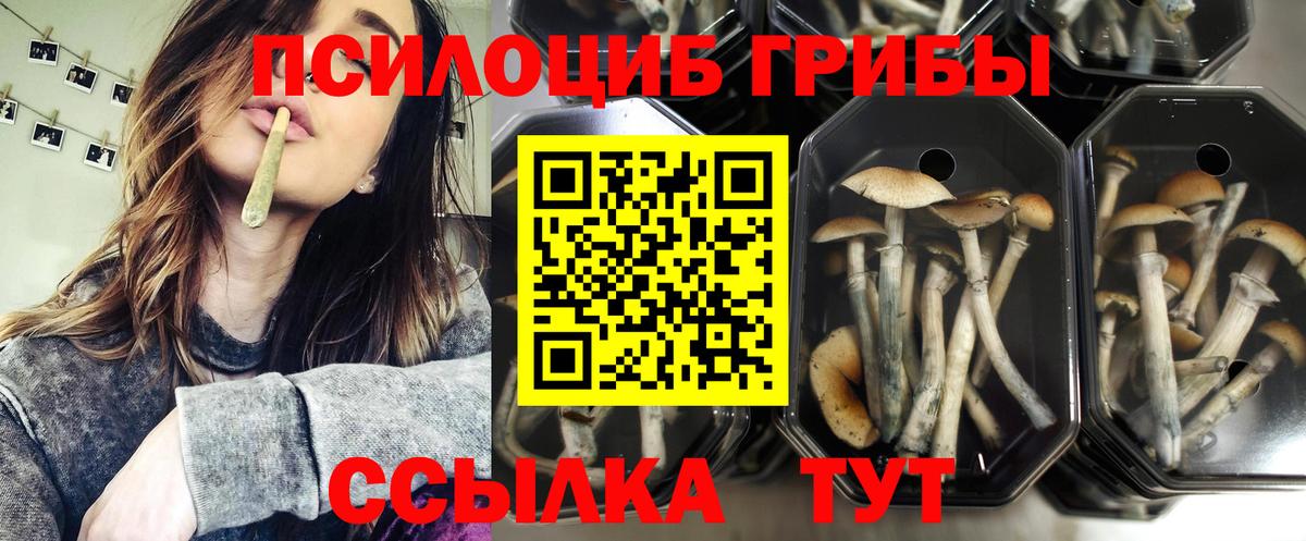 Псилоцибиновые грибы MAGIC MUSHROOMS Зеленокумск
