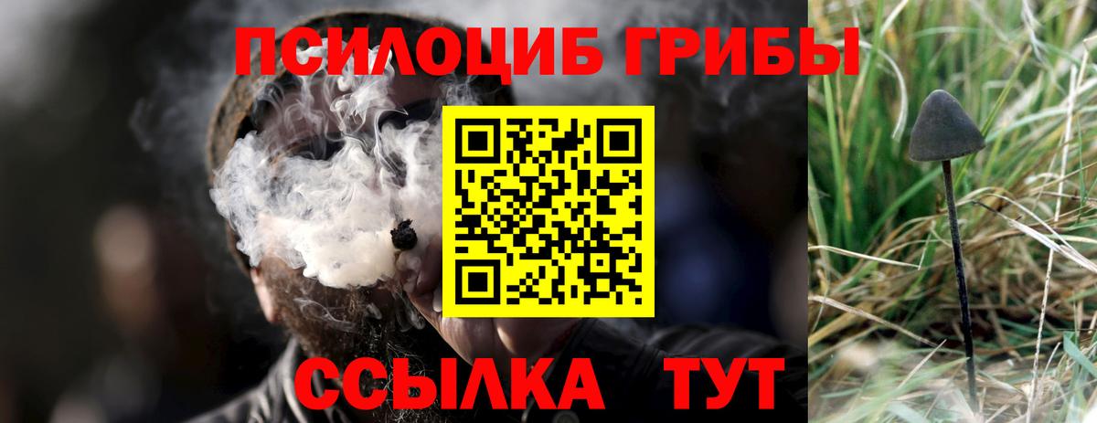 купить  сайты  Вход с VPN  Зеленокумск  Псилоцибиновые грибы Psilocybe  Галлюциногенные грибы MAGIC MUSHROOMS 